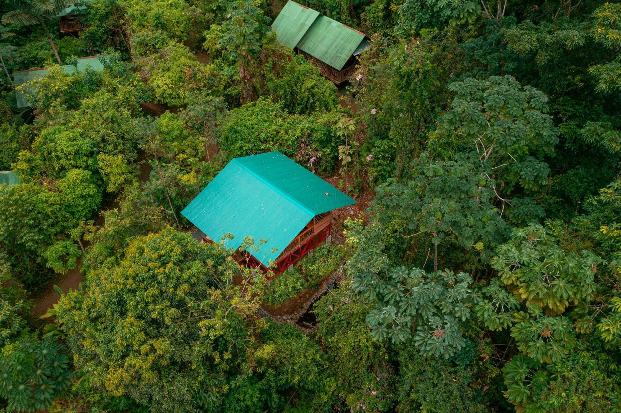 La Tigra Rainforest Lodge La Fortuna Exterior photo