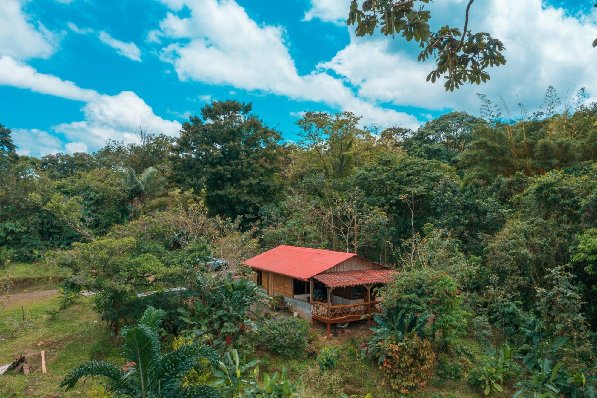La Tigra Rainforest Lodge La Fortuna Exterior photo