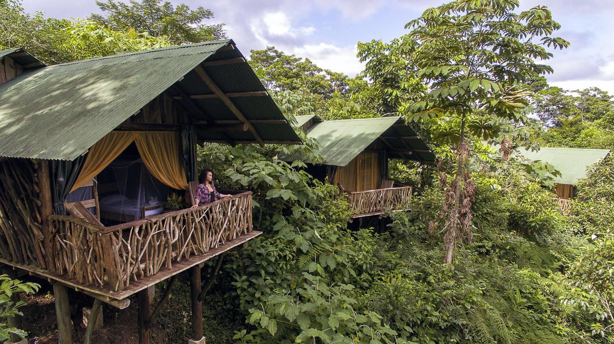 La Tigra Rainforest Lodge La Fortuna Exterior photo